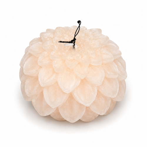 Candle dahlia ivory