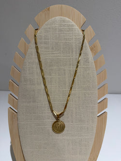 Stainless Steel Ketting – Goud Coin Hanger op Luxe Schakel