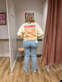 Straight leg jeans Noa