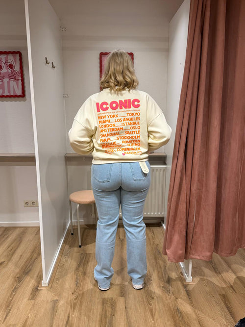Straight leg jeans Noa